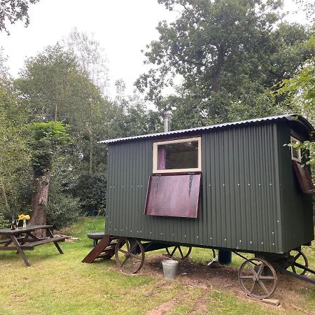 The Shepherd'S Hut - Wild Escapes Wrenbury Off Grid Glamping - Ages 12 And Over Baddiley Exterior foto